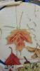 post-17015-1442204634_thumb.jpg