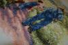 post-28112-1443597843_thumb.jpg