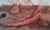 post-29812-1443290691_thumb.jpg