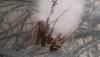 post-3183-1442136777_thumb.jpg