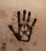 post-34512-1441255015_thumb.jpg