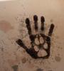post-34512-1441255165_thumb.jpg