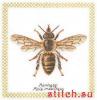 Thea Gouverneur 3017, Пчела (Honey Bee)