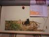 DSC01443.JPG