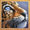 ng_019_tela_artis.png