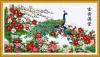 12451_90109_pavlin__dome_craft_nabor_dlya_vishivaniya_nitkami_1_800x800.jpg