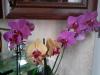 post-9206-1441137043_thumb.jpg