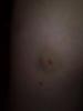 post-4096-1286385038_thumb.jpg