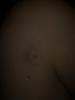post-4096-1286385072_thumb.jpg
