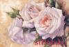Dimensions 35247, Белые розы (White Roses)