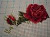 DSC02378.JPG