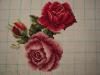DSC02383.JPG