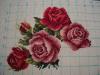 DSC02391.JPG