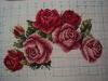 DSC02412.JPG