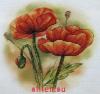 Orchidea 8181, Дикие маки