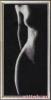 post-7874-1319132126_thumb.jpg