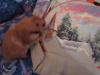 post-11224-1351240105_thumb.jpg