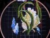 DSCN8033.JPG