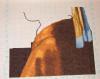 post-2-1350160252_thumb.jpg
