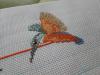 DSC03663.JPG