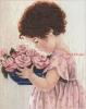 Dimensions 35031, Розы Ами (Розы Эми, Amy's Roses)