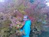 post-16578-1381929746_thumb.jpg