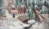 Dimensions 35111, Зимние кружева (Зимний ручей, Winter Lace)