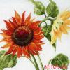 Anchor 01006, Подсолнухи (Sunflowers)