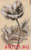post-2-1382895469_thumb.jpg