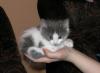 post-20013-1381208402_thumb.jpg