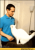 post-20013-1382858368_thumb.png