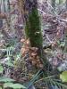 post-20830-1381420605_thumb.jpg