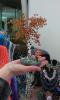 post-9499-1382175304_thumb.jpg