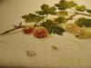 post-10052-1413877021_thumb.jpg
