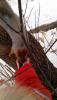 post-12833-1414578626_thumb.jpg