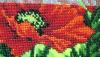 post-27705-1413304823_thumb.jpg