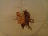 IMG_20141020_224910.jpg