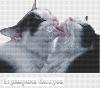 Поцелуйные коты. По схеме Екатерины Волковой