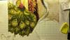 post-25408-1444249796_thumb.jpg