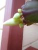 post-28349-1444037395_thumb.jpg