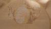 post-3183-1443855203_thumb.jpg