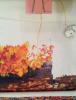 IMG_20151007_235347.jpg