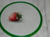 DSCN2142.JPG