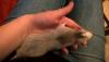 post-33897-1445231070_thumb.jpg