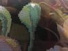 post-4746-1445439964_thumb.jpg
