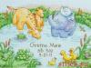 Dimensions 73697, Little Pond Birth Record