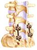 post-5497-1445447170_thumb.jpg