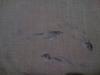 post-418-1258104013_thumb.jpg