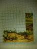 post-2-1320332916_thumb.jpg