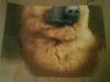 post-2-1321653240_thumb.jpg